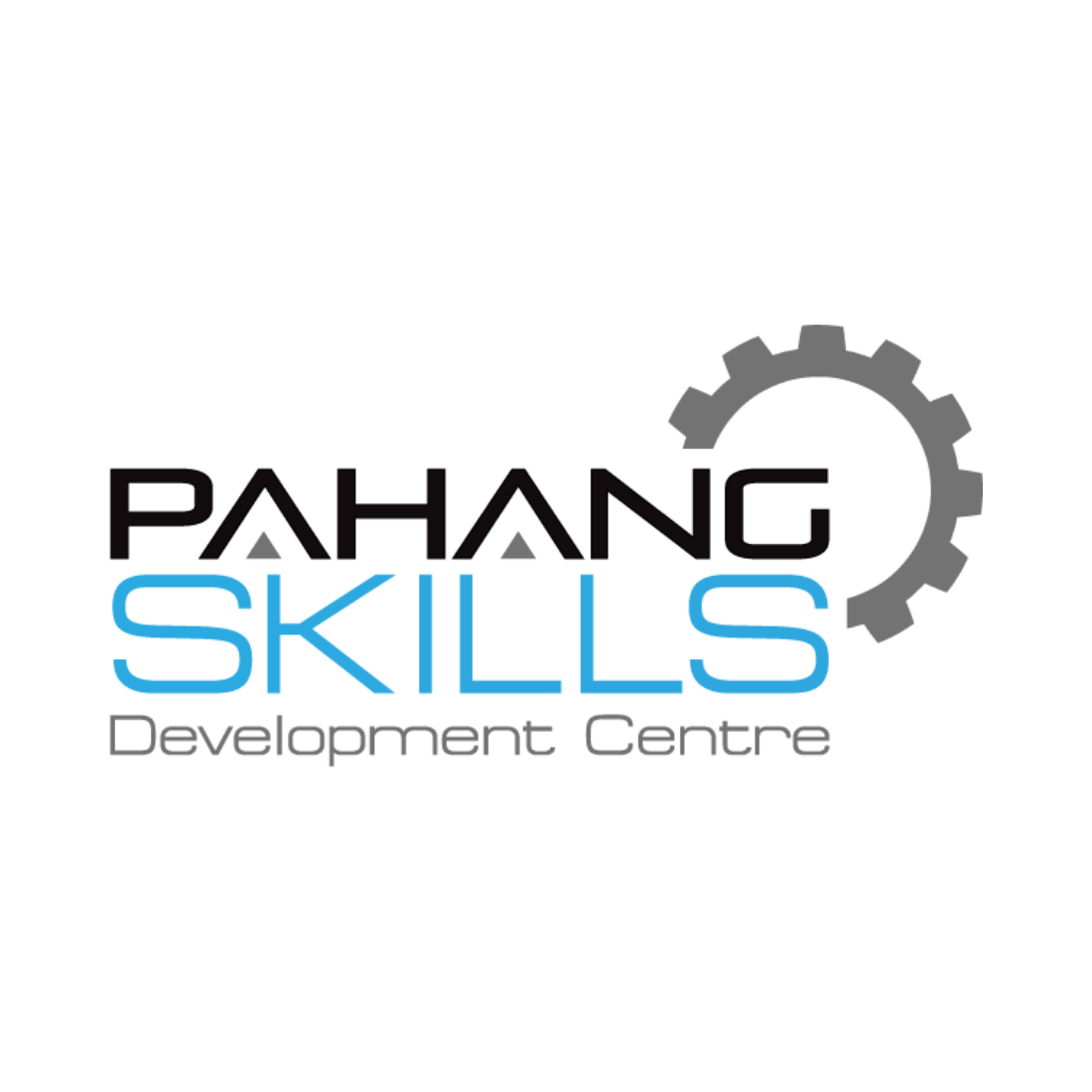 Pahang Skills Development Centre ReSize
